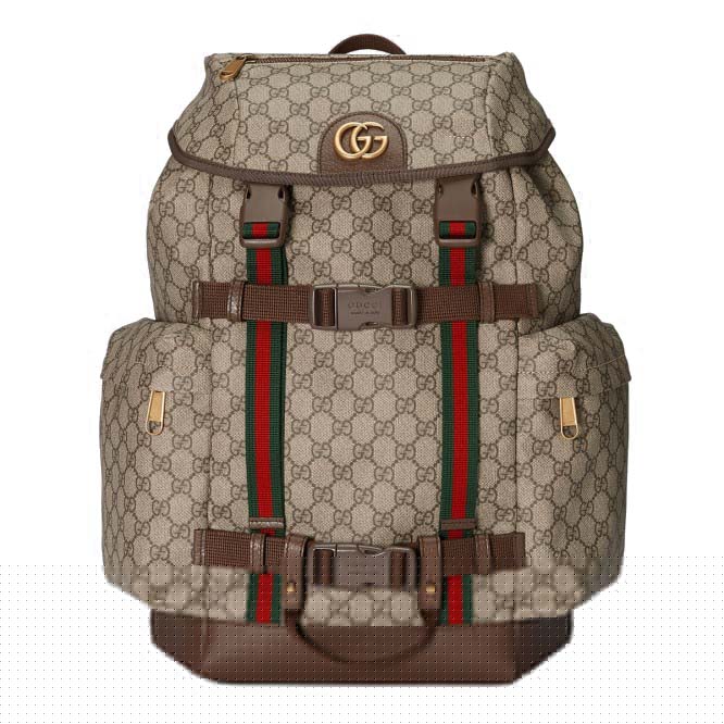 G*u*i gg skateboard backpack with web 690999 (42*34*16cm)